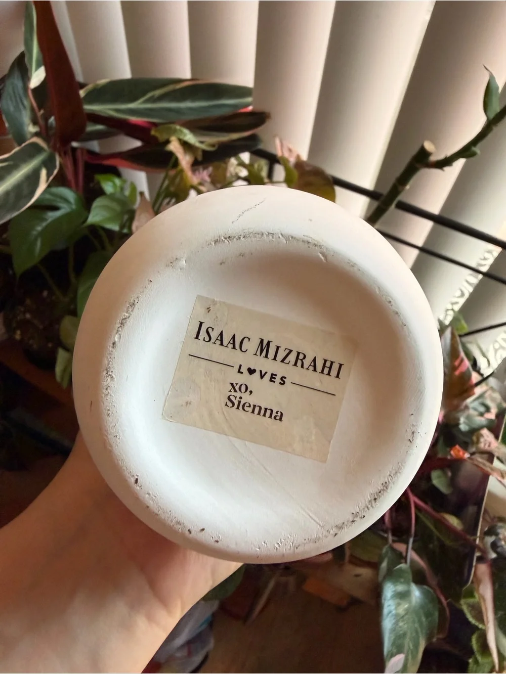 Isaac Mizrahi XO Siena Pink & White Ceramic Vase -Small Home Decor Accent Piece